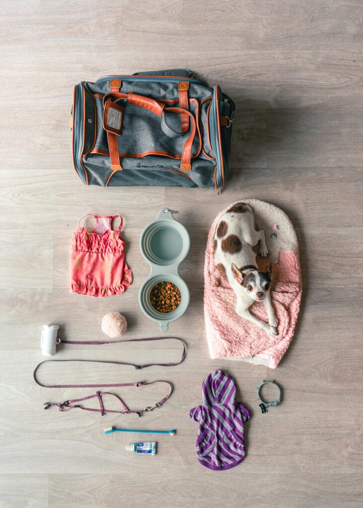 Flat lay of Chihuahua travel essentials, including bag, food, and accessories.